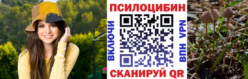 где купить   Кострома  Псилоцибиновые грибы MAGIC MUSHROOMS 
